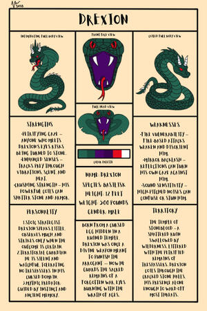 Drexion